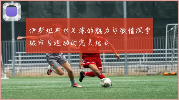 伊斯坦布尔足球的魅力与激情探索城市与运动的完美结合