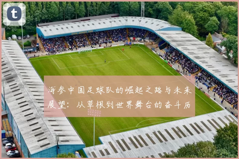 海参中国足球队的崛起之路与未来展望：从草根到世界舞台的奋斗历程