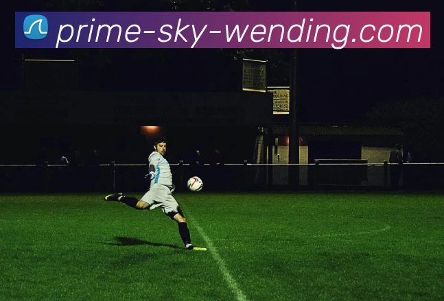 问鼎娱乐APP 封面图